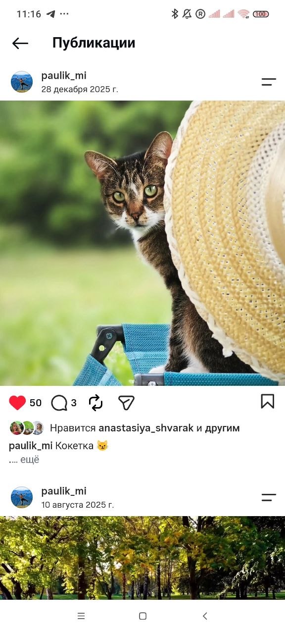 Плюша выглядывает из-за шляпы
